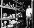 /album/photogallery/holocaust-ccamp-jpg/